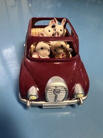 auto s králičí rodinou - 1