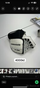 Hokejová Brankářská výstroj