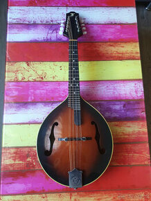 Výborná celomasivní mandolína FURCH model A