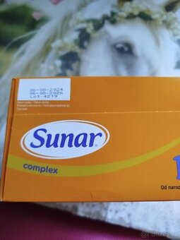 Sunar 1 - 1