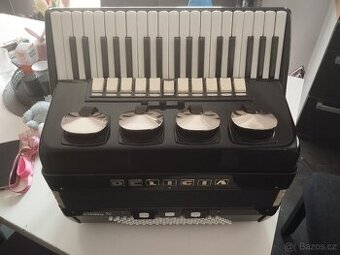 Harmonika akordeon delicia