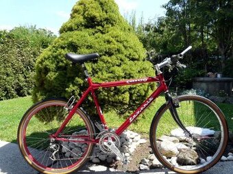 Favorit Corrado 26"