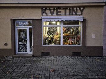 Přízemní obchodní prostory 60m2 - 1