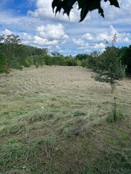 Seno zdarma, cerstve posekana louka