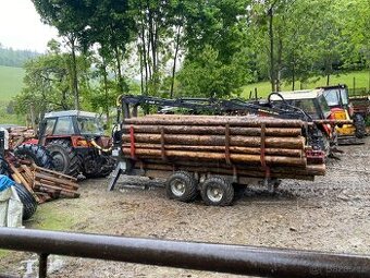 Palivové dřevo měkké, kulatina na řezivo
