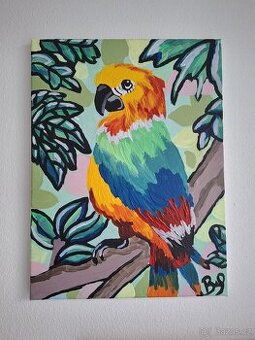 Papoušek v tropické džungli – akryl na plátně 40x29,8 cm