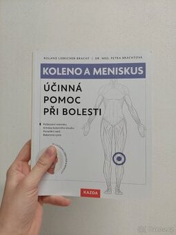 Koleno a meniskus