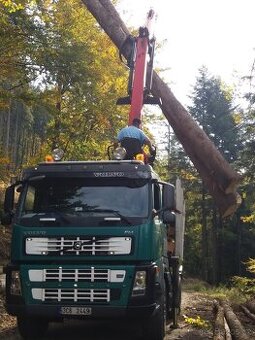 Lesovůz Volvo FM13 s hydraulickou rukou + návěs Lemex - 1
