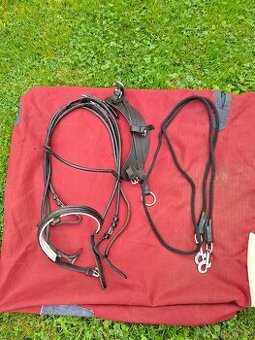 Lonzovaci uzda a další veci