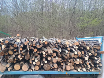 palivové dřevo tvrdé suché