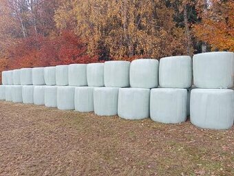 Prodám kvalitní senáž z luční směsi