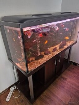 Akvarijní komplet DIVERSA 450 l dálkové ovládání