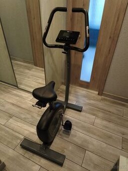 Rotoped FLOW FITNESS (TURNER) DHT750