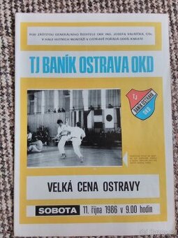 Prodám brožuru karate.