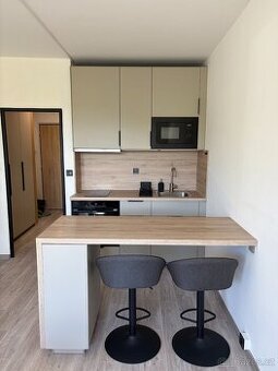 pronajmu byt 1kk v Trutnově, Kryblice