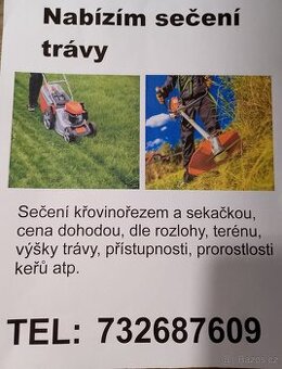 Sečení trávy