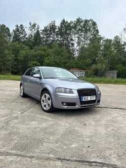 Audi A3 8P 1.9 TDi