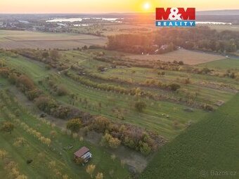 Prodej ovocného sadu, 2885 m², Ostrožská Nová Ves