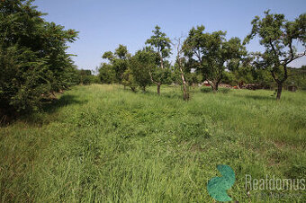 Prodej, pozemek, 885 m2, Litobratřice, okr. Znojmo