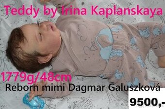 Vánoční nabídka reborn miminek