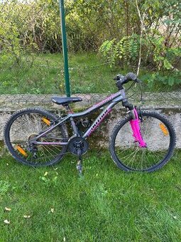 Dětské kolo Author a-metrix 24