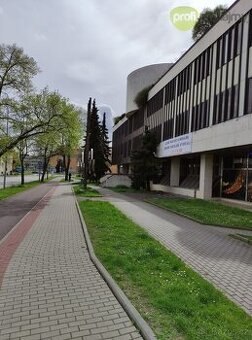 Pronájem 8 kanceláří 144 m²