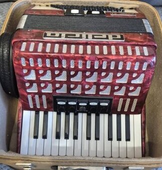 Harmonika akordeon delicia