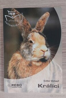 Daruji knihy: Králíci, Knižní hon, Poslední léto