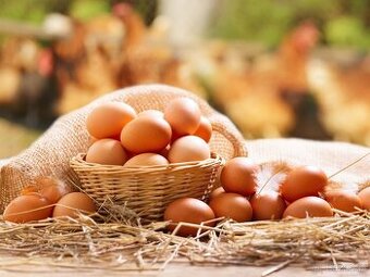 Domácí vajíčka.
