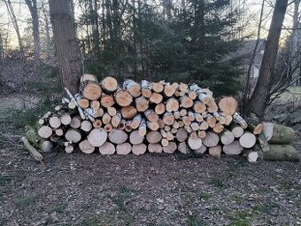 Palivové dřevo+větve