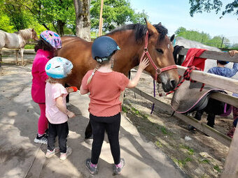 🐎 Docházka 🐎 ke koním a poníkům pro děti od 4let