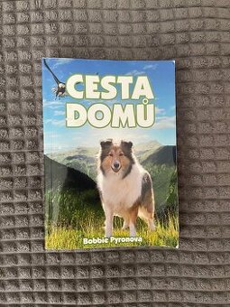 Cesta domů
