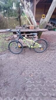 Dětské kolo 24