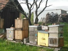 Včelařské úly - 1