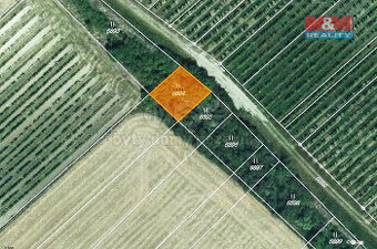 Prodej louky, 231 m², Velké Němčice - 1