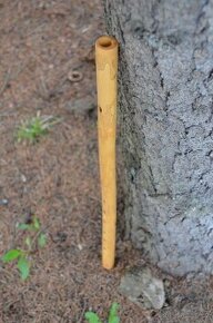 Priečna flauta