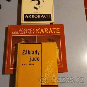 základy judo, karate, akrobacie, kondiční posilování, výživa - 1