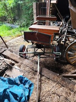 Wagoneta