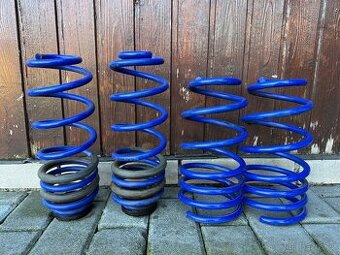 Sportovní pružiny AP Sportfahrwerke, Octavia 1