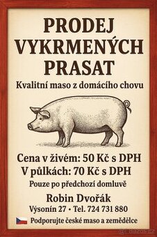 Prodáme vykrmené prase, prasata