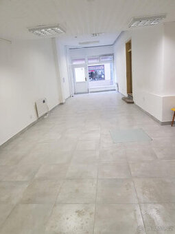 Prostor k pronájmu, Lánecká 42 - 1