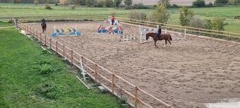 Nabízíme boxové ustájení koní na okraji Prahy.