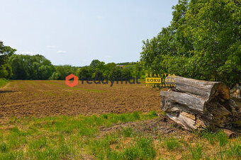 Prodej pozemku, orná půda 553 m2, Labuty