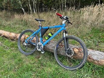 Author Instinct vel.19