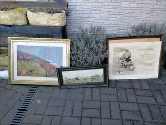 obrazy jelen vlak železnice lázně bohdaneč