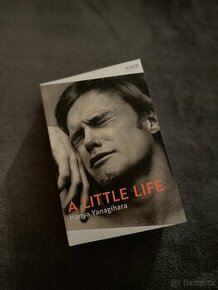 A Little life - 1