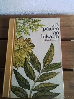 Až půjdeš po lukách,Mária Haštová r. 1967