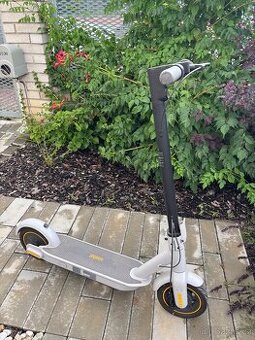 Elektrokoloběžka Segway Ninebot KickScooter max