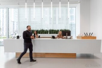 Pronájem virtuální kancelář, 5 m² - Praha - Nusle