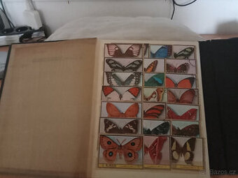 prodam  album znamek